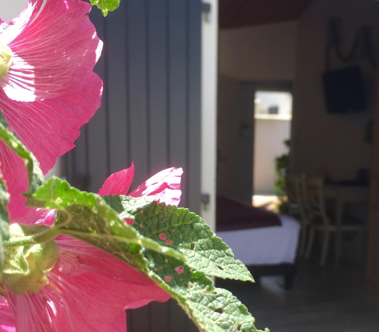 Hotel Restaurant & Spa Plaisir Le Bois-Plage-en-Ré Exterior foto